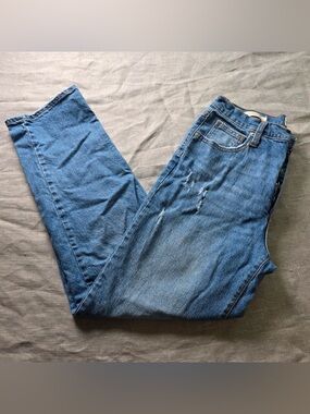 Universal Thread Women’s High-Rise Straight Jeans Blue Size 10 R